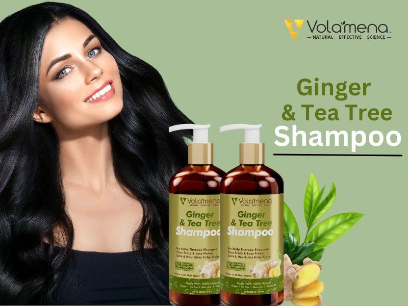 Ginger & Tea Tree Shampoo 300 ml Pack Of 2