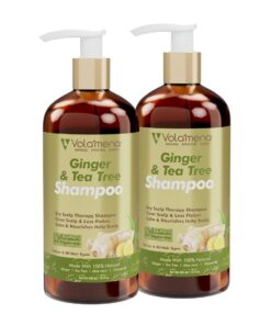 Ginger & Tea Tree Shampoo 300 ml Pack Of 2